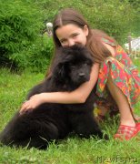 Превью фото № 226047