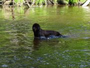 Превью фото № 226058