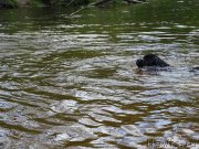 Превью фото № 226060