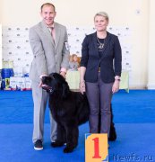 Превью фото № 226067