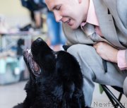 Превью фото № 226069