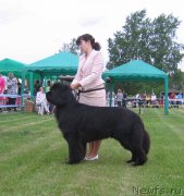 Превью фото № 226076