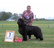 Превью фото № 226078