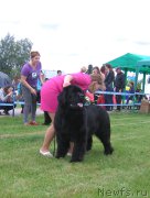 Превью фото № 226089