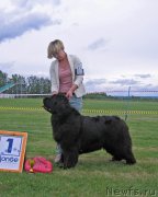 Превью фото № 226090