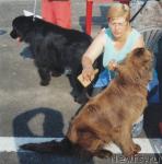 Превью фото № 22610