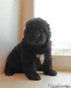 Превью фото № 226138