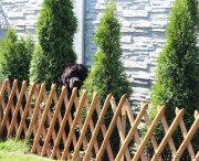 Превью фото № 226177