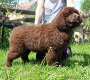 Превью фото № 226184