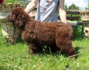 Превью фото № 226185