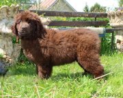 Превью фото № 226186