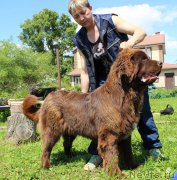 Превью фото № 226189