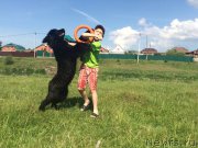 Превью фото № 226211