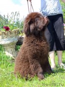 Превью фото № 226224