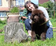 Превью фото № 226225