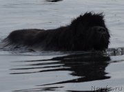 Превью фото № 226255