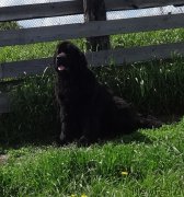 Превью фото № 226259