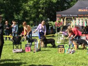 Превью фото № 226296