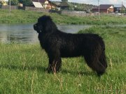 Превью фото № 226303