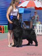 Превью фото № 226320