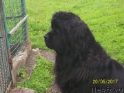 Превью фото № 226323