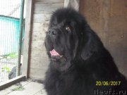 Превью фото № 226329