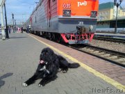 Превью фото № 226337