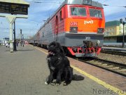 Превью фото № 226338