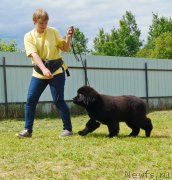 Превью фото № 226377