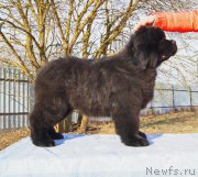 Превью фото № 226384