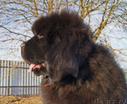 Превью фото № 226386