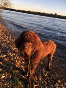 Превью фото № 226414