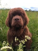 Превью фото № 226415