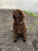 Превью фото № 226419