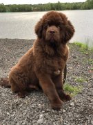 Превью фото № 226421