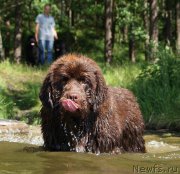Превью фото № 226422