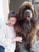 Превью фото № 226430