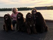 Превью фото № 226432