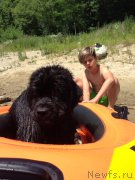 Превью фото № 226435