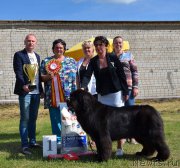 Превью фото № 226442