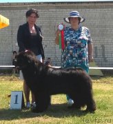 Превью фото № 226443