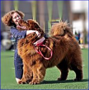 Превью фото № 226451