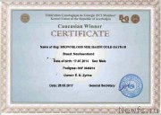 Превью фото № 226494