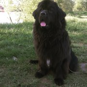 Превью фото № 226502