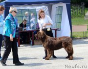 Превью фото № 226569