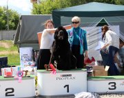 Превью фото № 226577