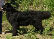 Превью фото № 226592