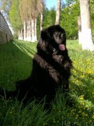 Превью фото № 226694