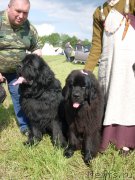 Превью фото № 226739