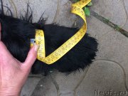 Превью фото № 226761